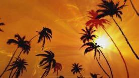 金色记忆时尚LED高清背景素材