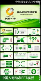 人寿保险公司中国人寿PPT