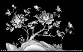 牡丹花灰度图