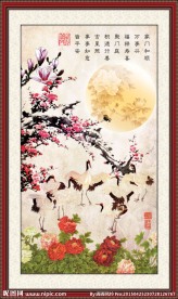 花鸟画