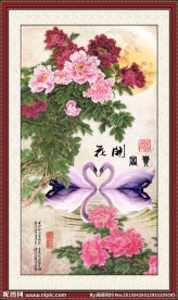 花开富贵