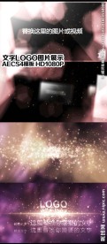 产品介绍LOGO展示AE模板