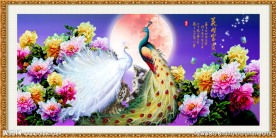 国画牡丹孔雀图