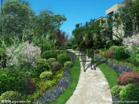 景观园路绿化设计