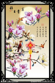 玉兰花