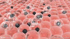 皮肤排毒黑色素