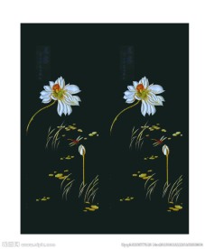 门花 暗花 高清分层