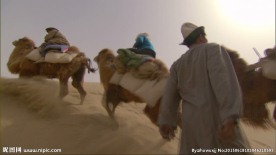 丝绸之路 沙漠丝路 骆驼