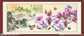 玉兰花