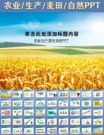 农业生产麦田自然PPT
