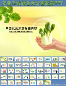 农业丰收绿色无公害蔬菜PPT