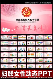 妇联女性政府工作汇报动态PPT