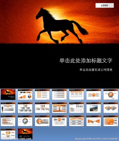 商务工作交流PPT