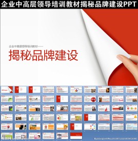 揭秘品牌建设PPT