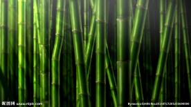 竹子特效