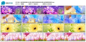 婚庆花朵舞台歌舞秀婚礼LED