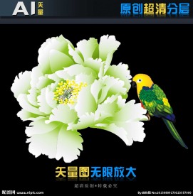 白色牡丹高清矢量图