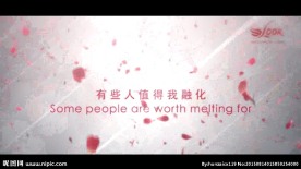 情人节 七夕 爱情 花瓣雨AE