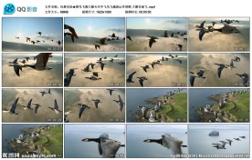 群鸟飞翔大雁天空中飞鸟飞越高山