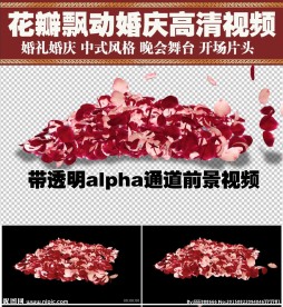 婚庆片头玫瑰花瓣透明通道视频