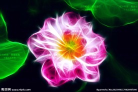 抽象创意红色花朵