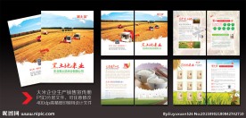 大米企业宣传册