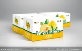 水果包装  包装箱  柚子