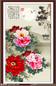 花开富贵