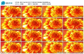 开场牡丹喜庆中国风晚会开场LE