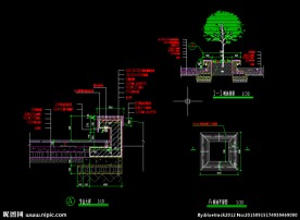 树池 CAD 施工图