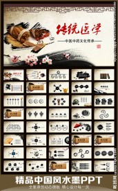 水墨中国风中医中药PPT