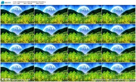 桂花香月亮大屏幕舞台背景LED