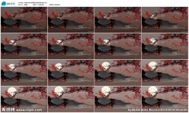 红梅映月舞台歌舞晚会LED背景