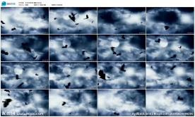 万圣节系列蝙蝠之夜恐怖背景