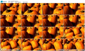 万圣节万圣南瓜酒吧夜店LED背