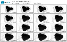 中国风水墨滴墨喷墨古典唯美背景