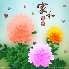 十字绣钻石画无框画家和富贵牡丹