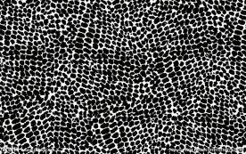 豹纹 动物纹 分层