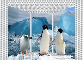 白背景 企鹅 冰山 大海