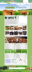 肉牛养殖厂网站首页