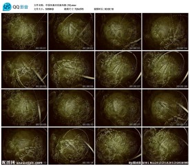 绿色地球环保公益活动新闻背景