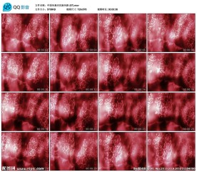 红色牡丹花婚礼舞台晚会背景