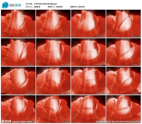 金丝牡丹婚礼歌舞酒吧夜店LED