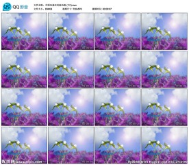 花海舞台演出歌曲LED背景视频