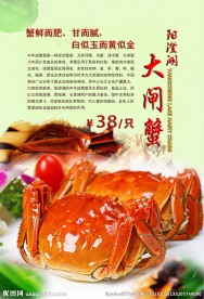 大闸蟹