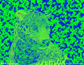 酒店走廊艺术画