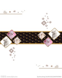 高档衣柜门 移门图案