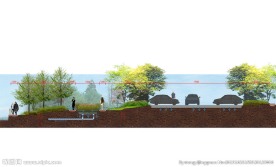 雨水花园景观剖面图