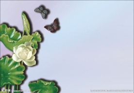 你若盛开 蝴蝶自来