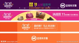 banner flash 双十